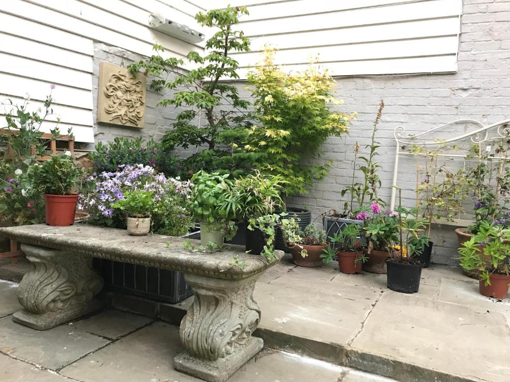 a bunch of potted plants sitting on a stone bench at The Tea House in Rye