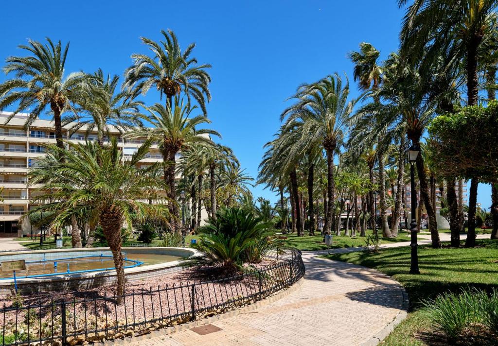 Apartamento El Palmeral (Spanje Torrevieja) - Booking.com