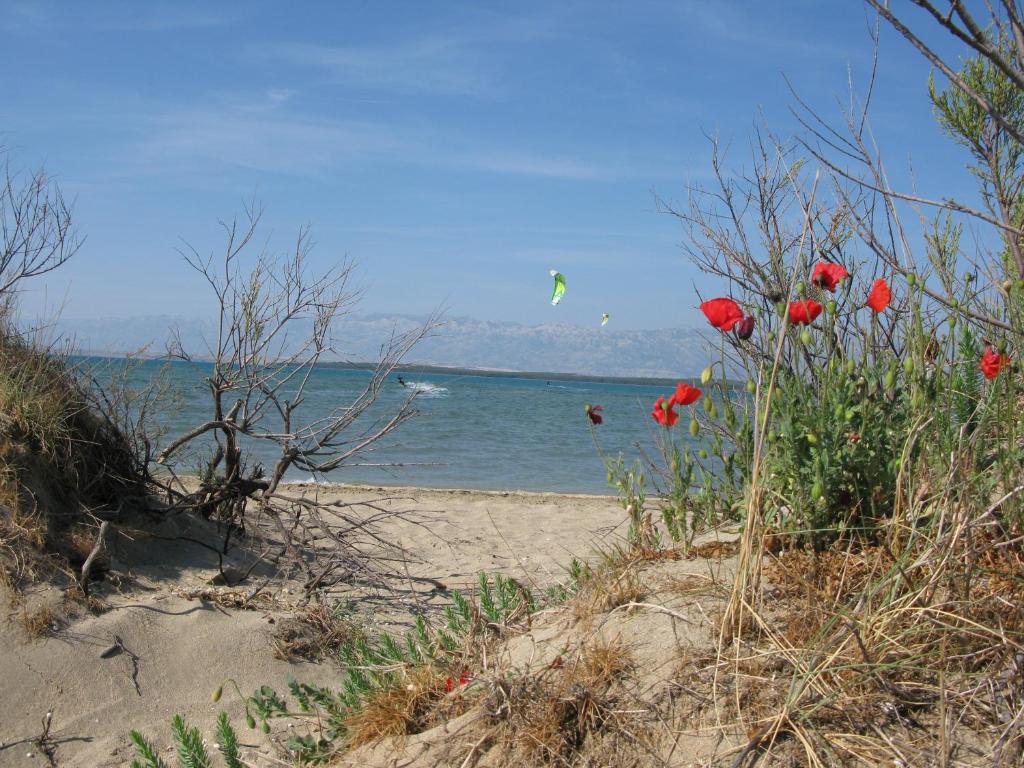Fotografie z fotogalerie ubytování Queen beach apartments Nin Sabunike - Green street I v destinaci Nin