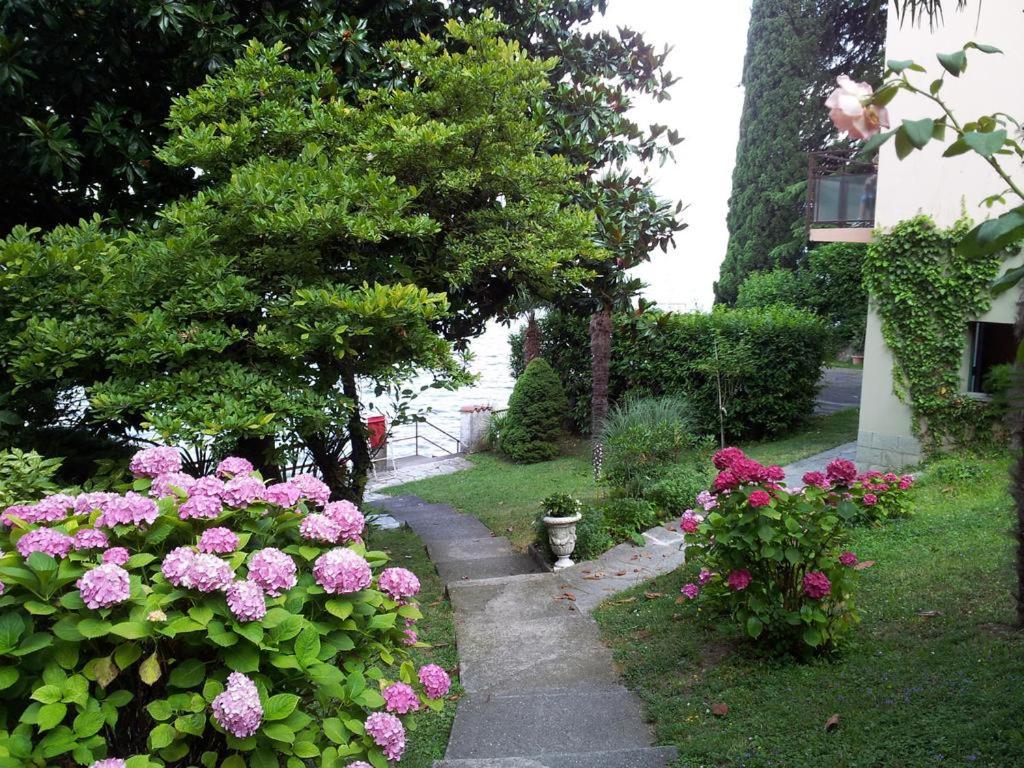 um jardim com flores cor-de-rosa e uma caminhada em Casa Miralago em Menaggio