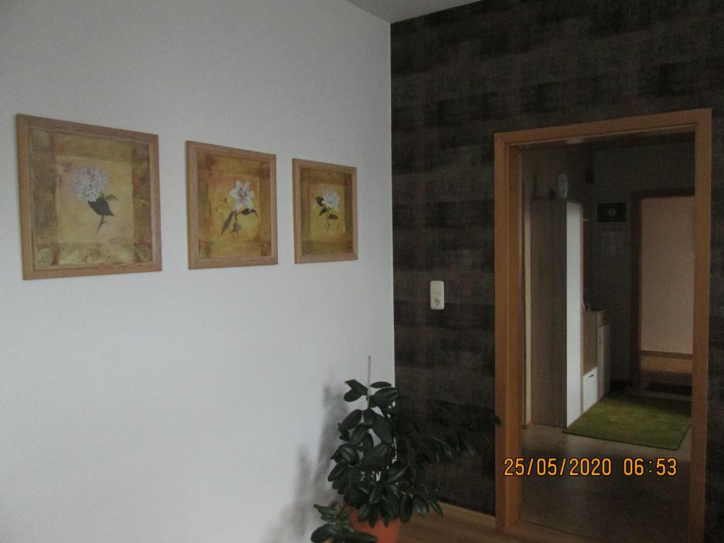 Zentrale-ruhige Ferienwohnung - 10