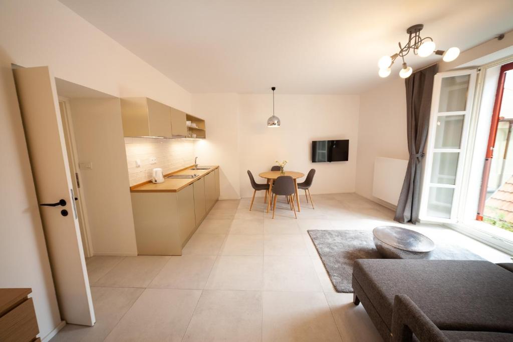 Kuchyň nebo kuchyňský kout v ubytování Apartmány Dačický 1