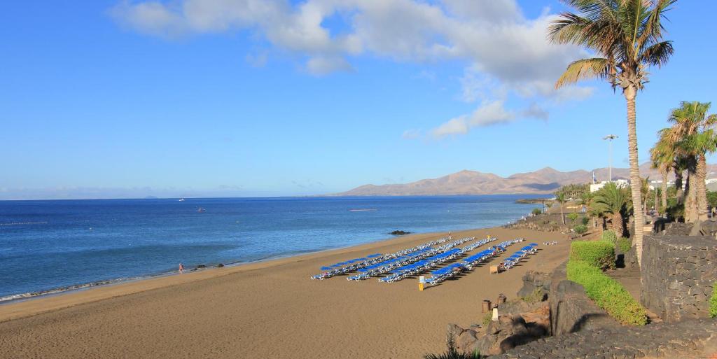 Coral Arena Dorada Suites, November 2019