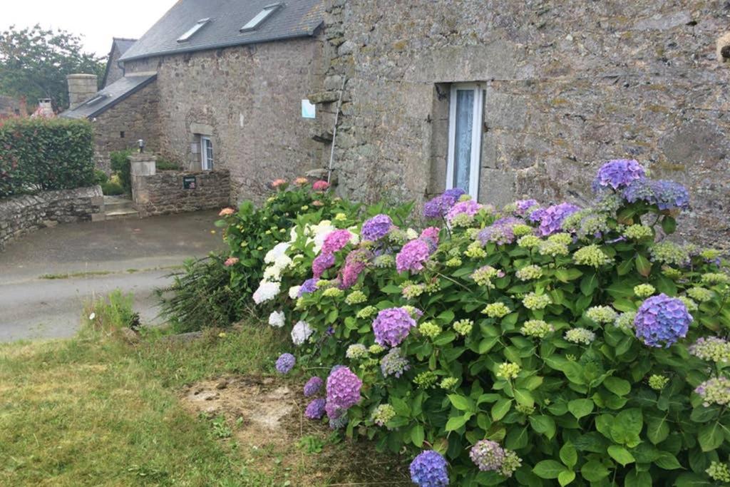 a bush of flowers in front of a stone building at Maison de vacances en pierre entre terre et mer in Pluduno