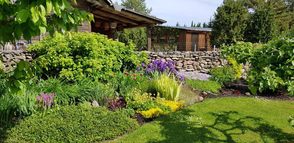 Zahrada ubytování Mardi Farm Stay
