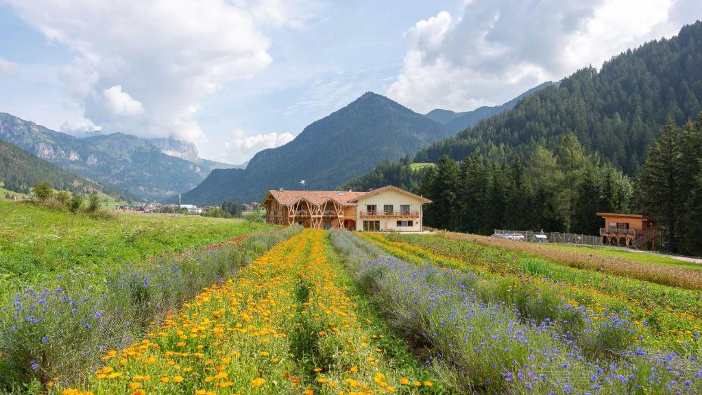 um campo de flores em frente a uma casa em Eco-Green Fiores Agriturismo em Vigo di Fassa