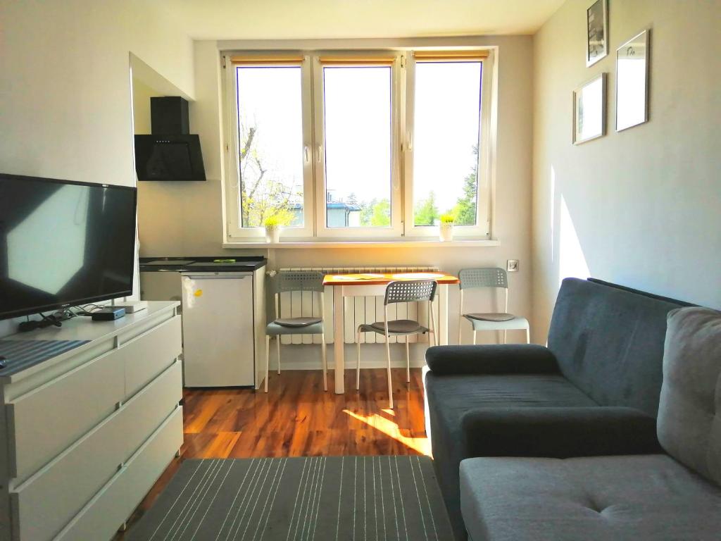 a living room with a couch and a table at Apartament Parkowy Rabka in Rabka-Zdrój