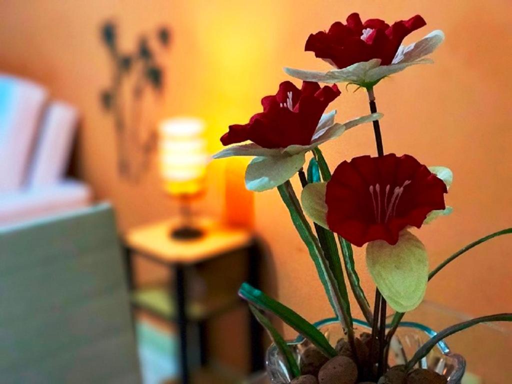  Yacht Village 105 - NBI - Ponta Negra