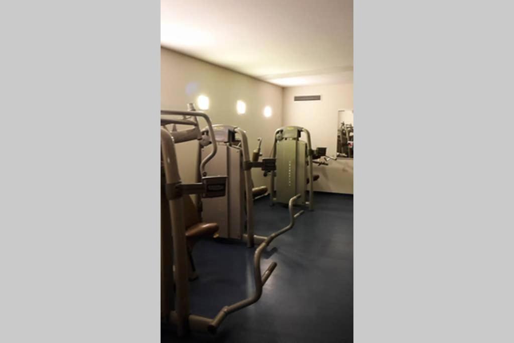 Fitness centrum a/nebo fitness zařízení v ubytování Bayerwald Appartement