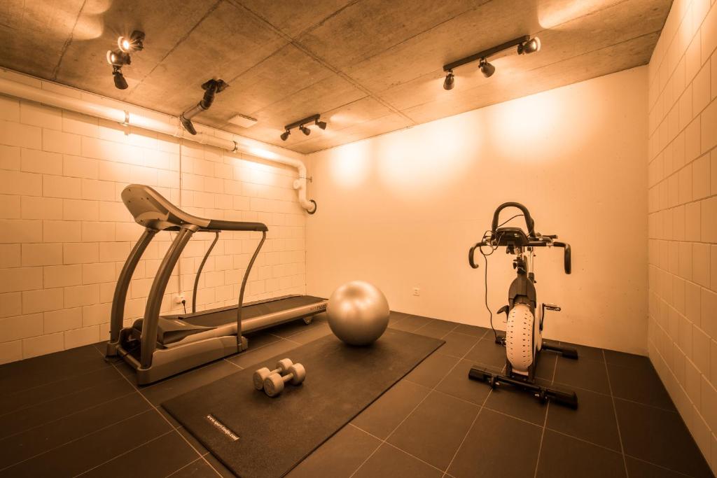 Fitness centrum a/nebo fitness zařízení v ubytování Dependance Ost