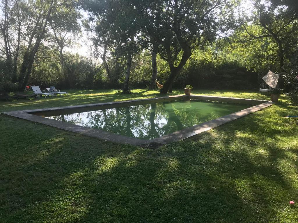 Gallery image of Gîte N1 avec piscine in Rochefort-du-Gard