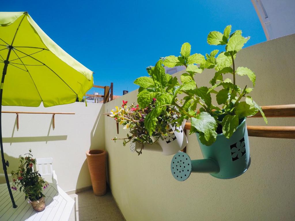 Fotografie z fotogalerie ubytování Pillows Peniche B&B v destinaci Peniche