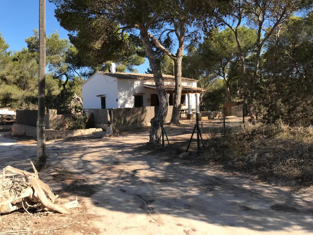 Una casa blanca con un árbol delante. en Can Andreu Morna en Sant Francesc Xavier