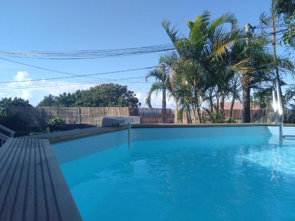 - une piscine dans une cour avec des palmiers dans l'établissement Villa de 3 chambres avec vue sur la mer piscine privee et jacuzzi a Saint Joseph, à Saint-Joseph