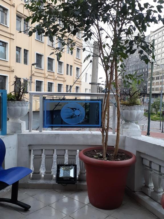 Balkón nebo terasa v ubytování Hostal Mediodia