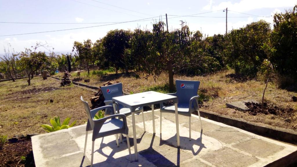 One bedroom house with furnished garden and wifi at Arco da Calheta 2 km away from the beach