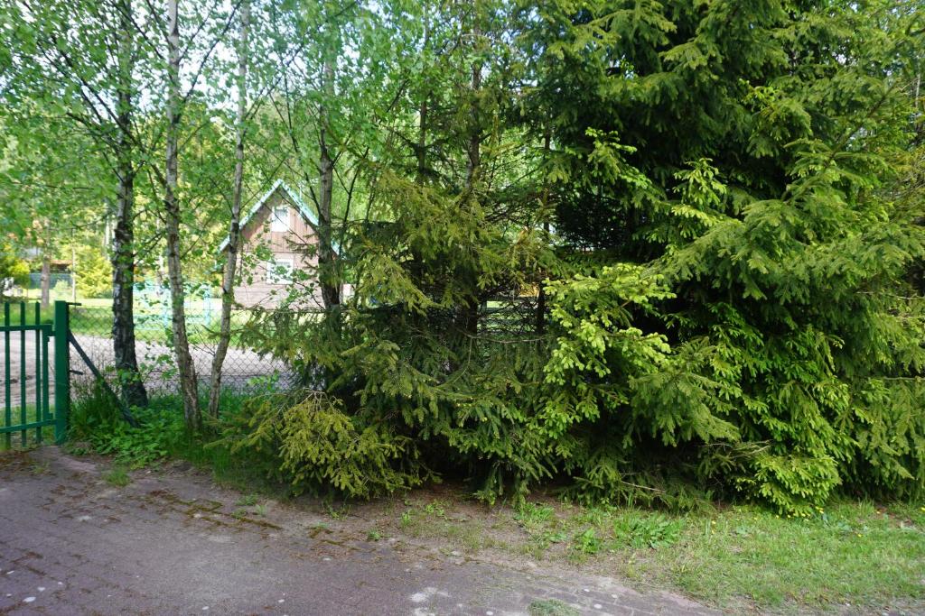 Zahrada ubytování Osada Sosnowa