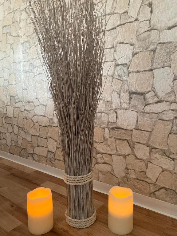 Ferienwohnungen in Erfurt - 8