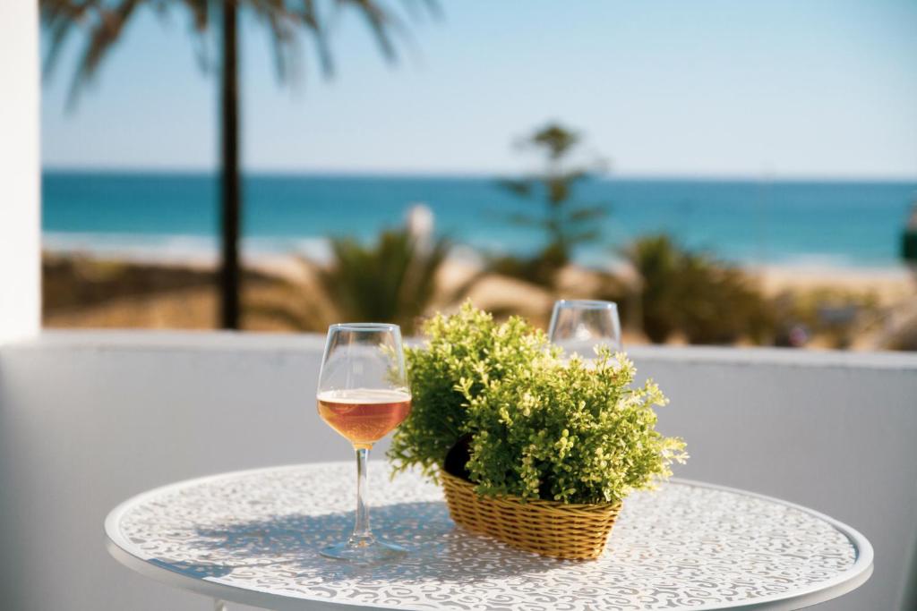 a table with a glass of wine and a potted plant at Hotel Avenida Playa in Zahara de los Atunes