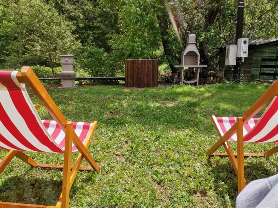 two chairs sitting in the grass in a yard at Vila Vrh in Crni Vrh
