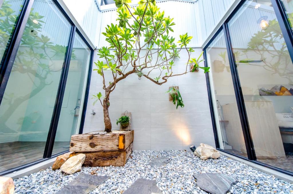 a small tree in a room with windows at 樹舍包棟民宿開山館 in Tainan