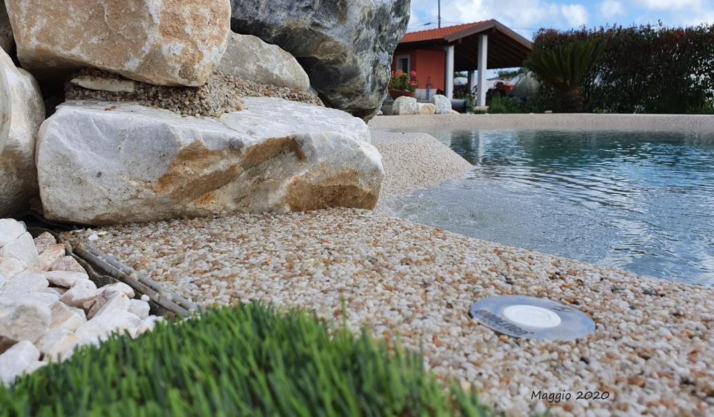 een zwembad met een rots en een frisbee bij Iacovino Country House in Sarzana