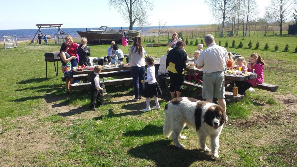 Hosté ubytování Päevatalu Camping