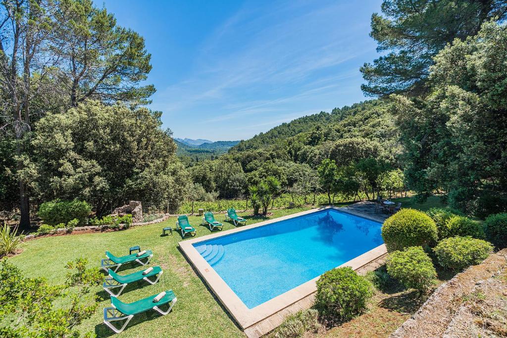 The swimming pool at or close to Picassa