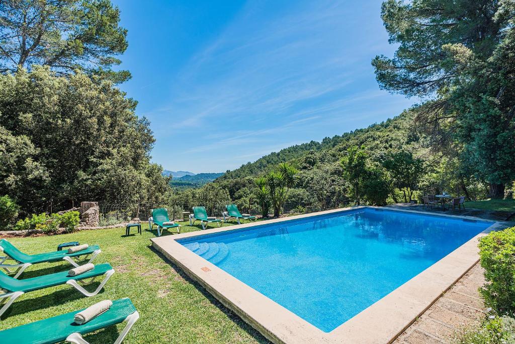 The swimming pool at or close to Picassa