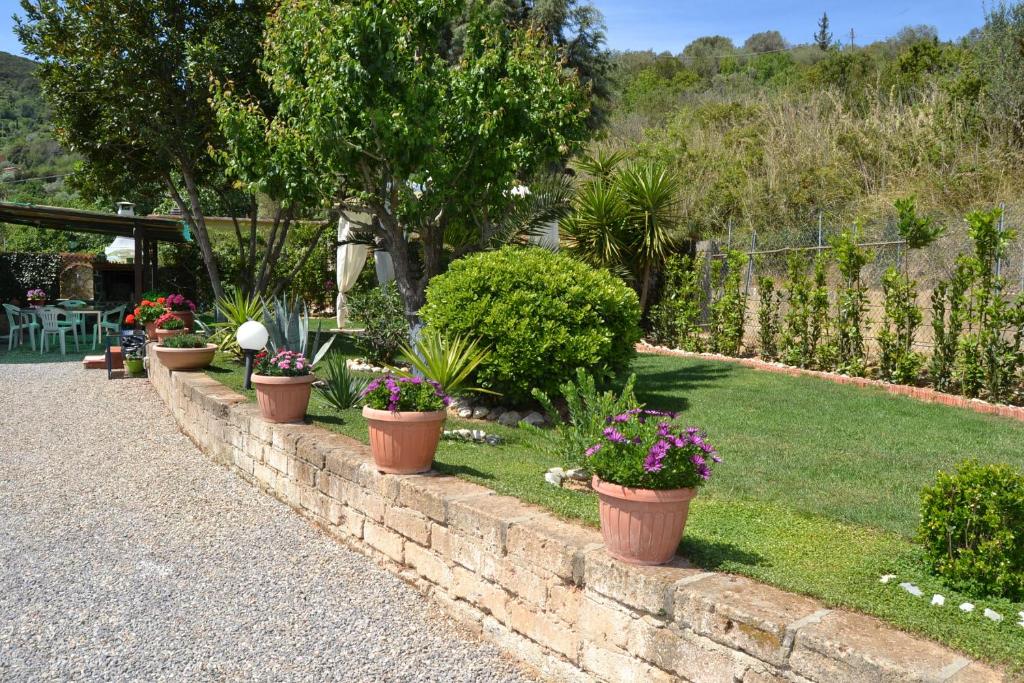 a row of potted plants in a garden at da lina in Porto Santo Stefano