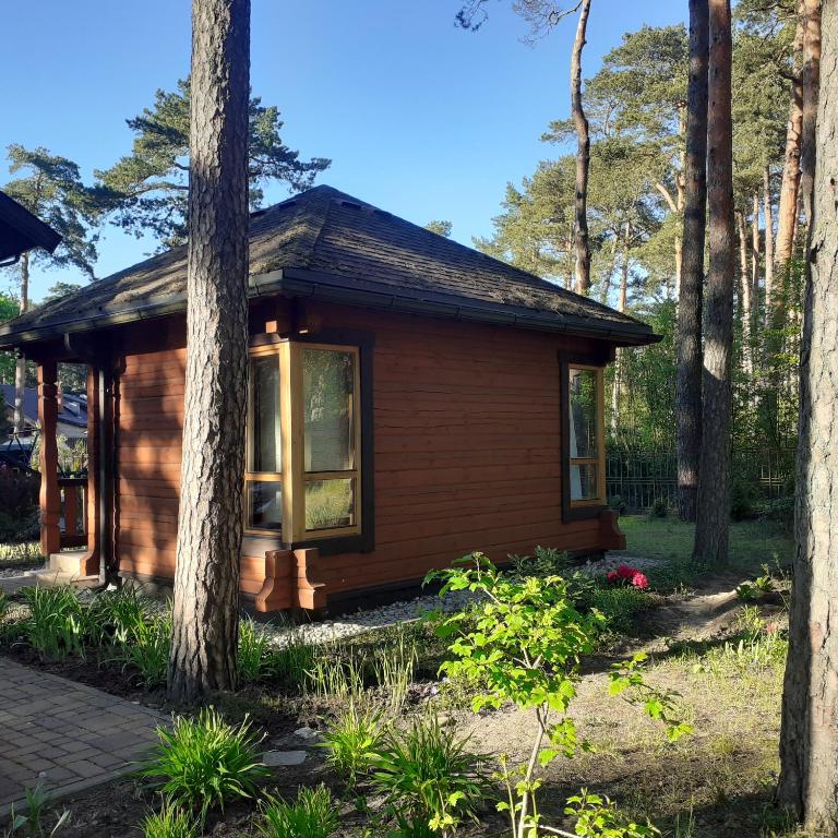 eine kleine Hütte im Wald mit Bäumen in der Unterkunft Zīlīšu holiday house in Jūrmala