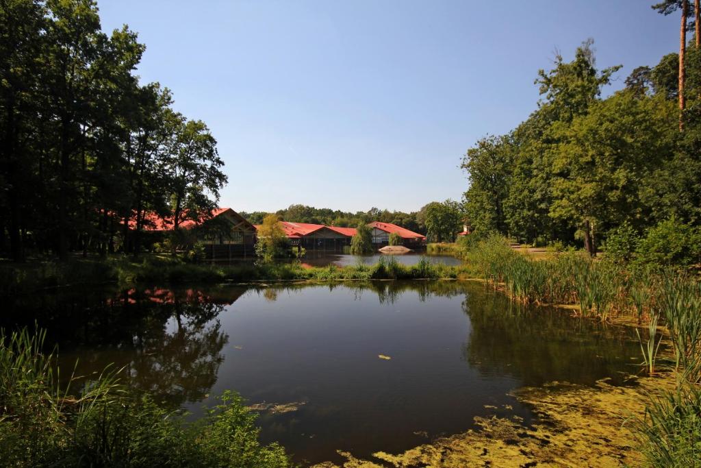 Stacja Nowa Gdynia Bed & Breakfast Aquapark - Resim 43