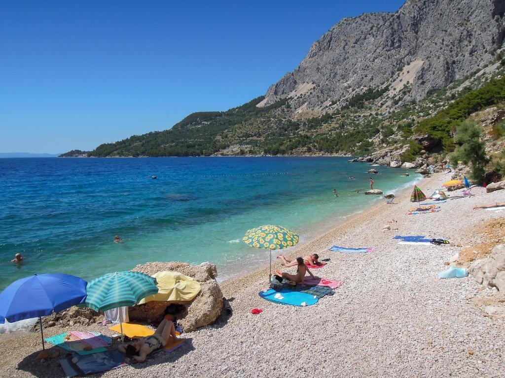 Príroda v okolí apartmánu
