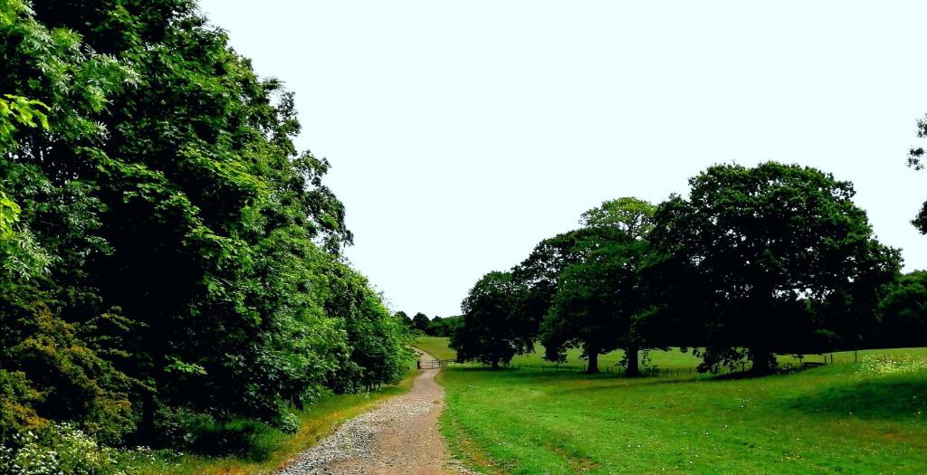 Wortley Hall Sheffield - Resim 10