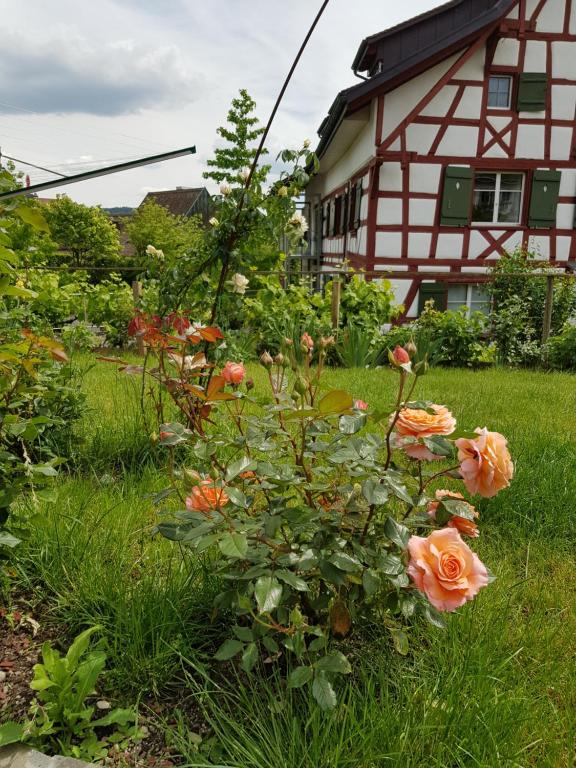 Zahrada ubytování Garni-Hotel Mühletal