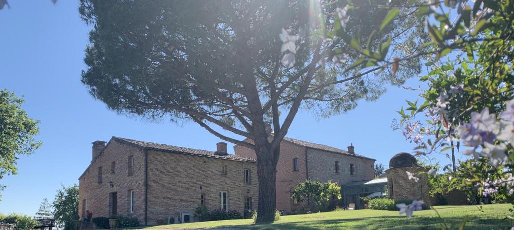a large brick building with a tree in front of it at Le Manoir Saint Clair in Balma