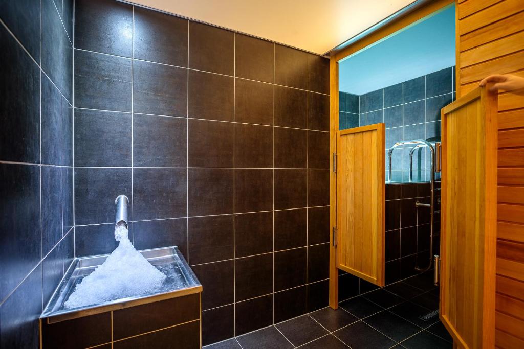 Park Holiday Congress & Wellness Hotel - Resim 13