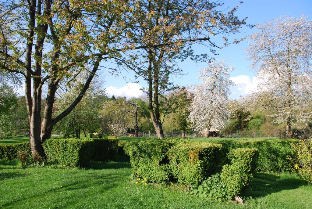 a hedge in a park with trees and grass at Gites aux Fleurs de Cerises in Le Plessis-Luzarches