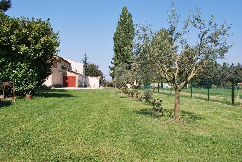 un champ d'herbe planté d'arbres et un bâtiment dans l'établissement La Maison d'Albert, à Cadenet