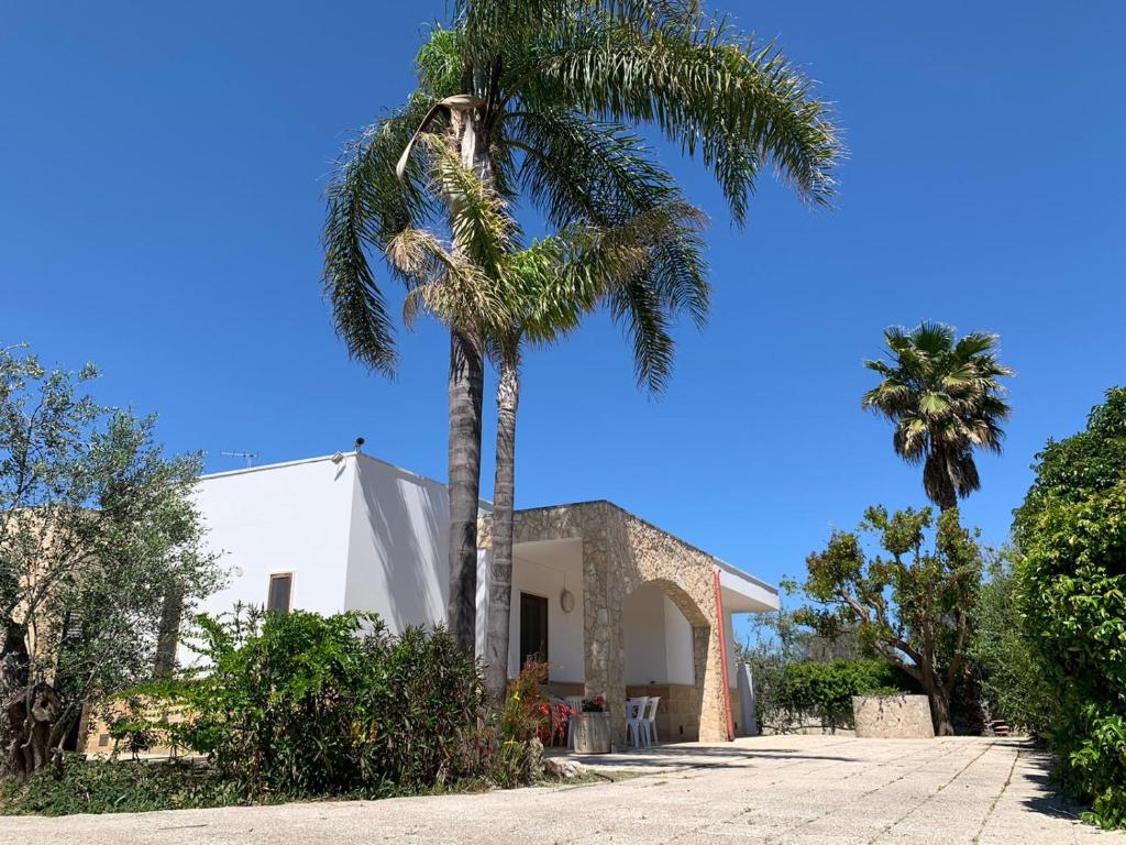 a palm tree in front of a house at Tenuta Punta della Suina in Gallipoli
