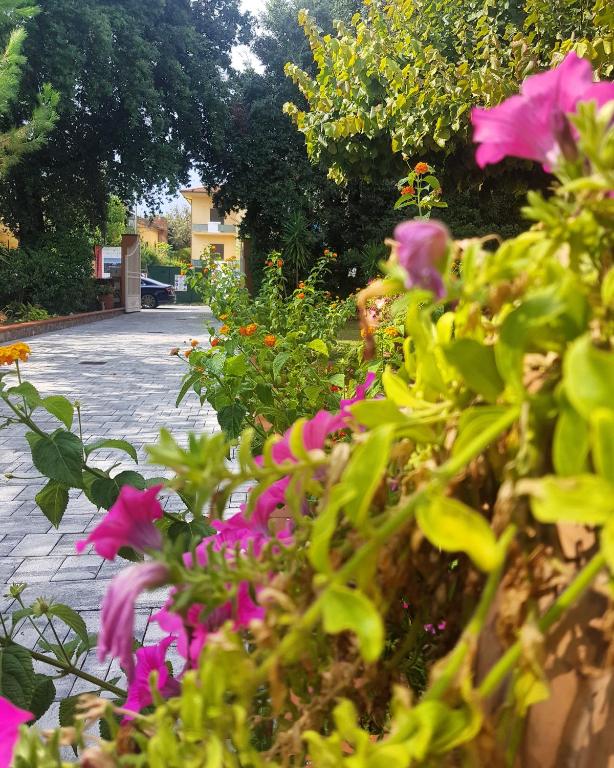 Ogród w obiekcie Hotel Bellonda