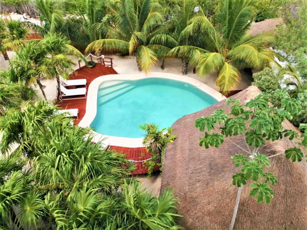 an overhead view of a swimming pool with palm trees at Holbox Deluxe Apartments in Holbox Island