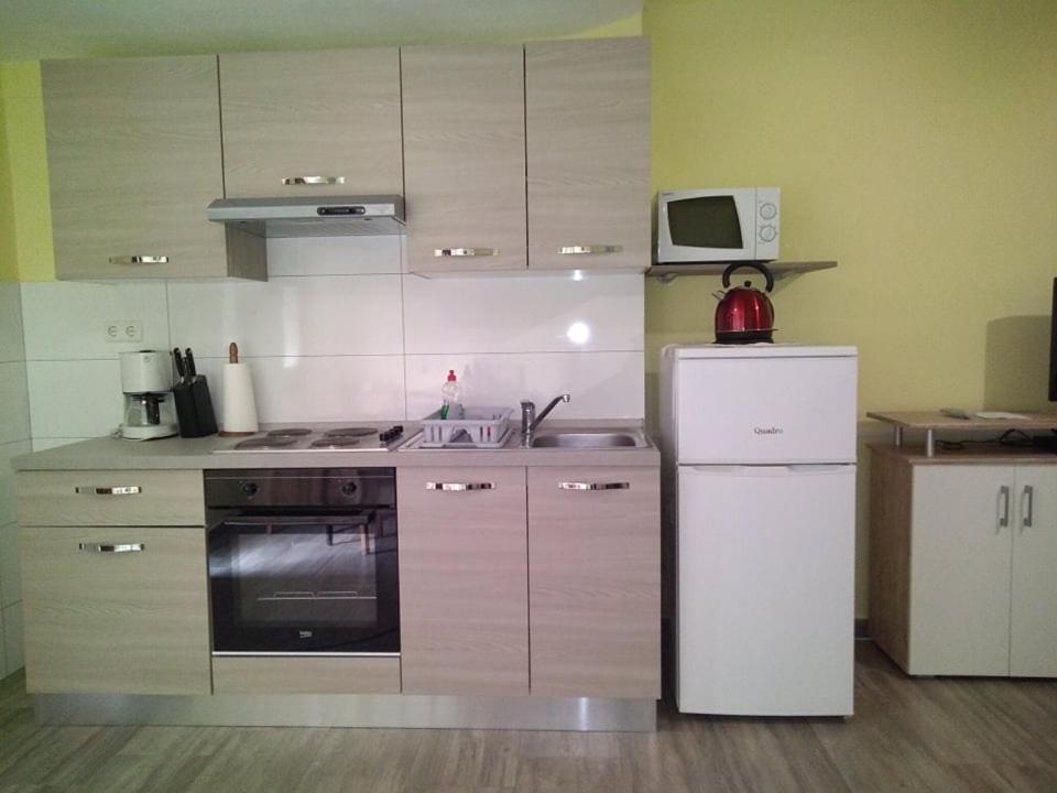 Kuchyňa alebo kuchynka v ubytovaní Apartman Salvia