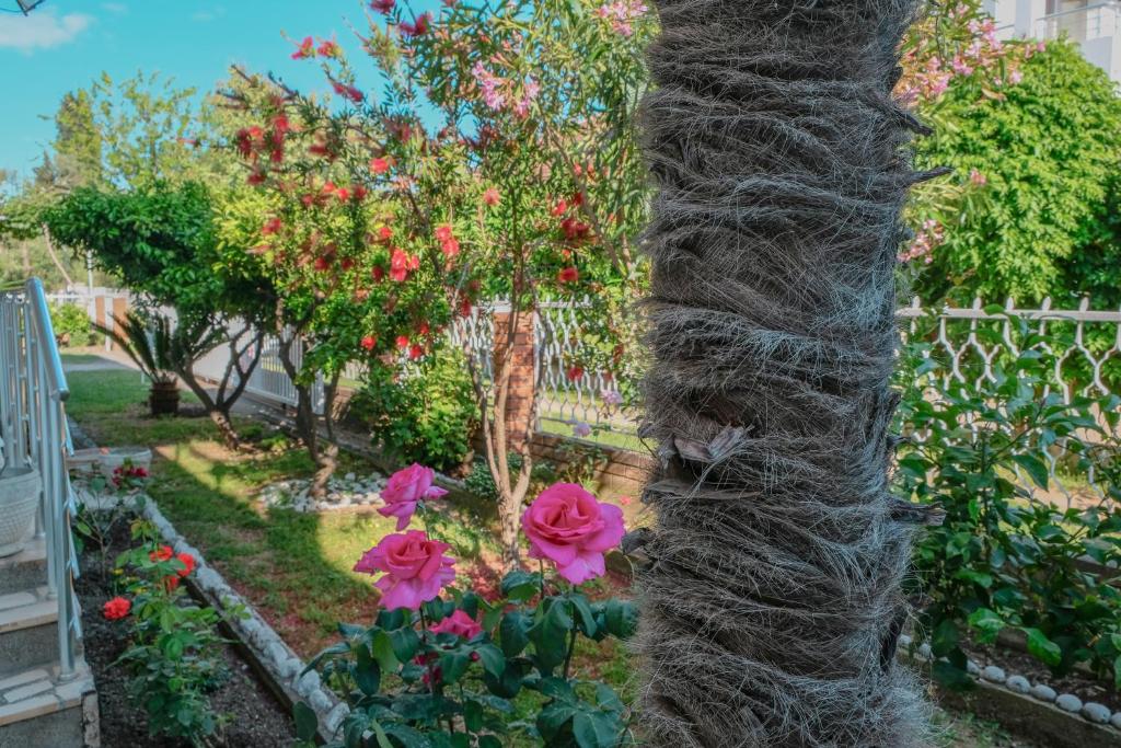 حديقة خارج Vila Adriatik