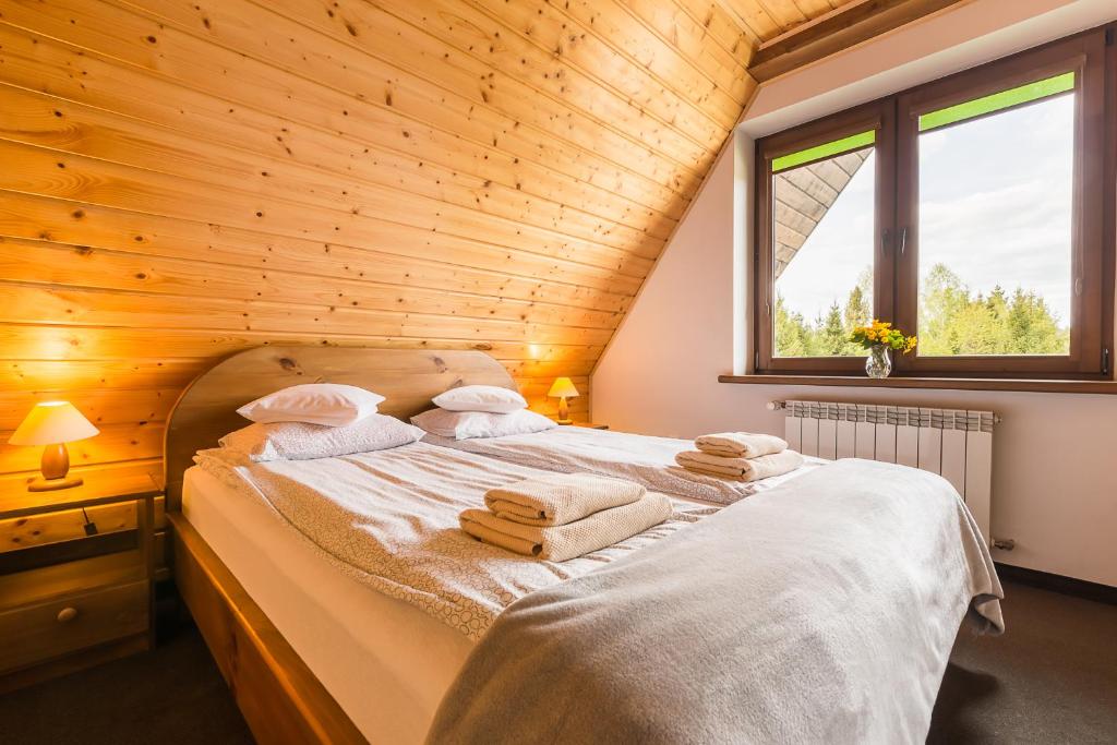 Niemczukówka 2 - Smerek - 19