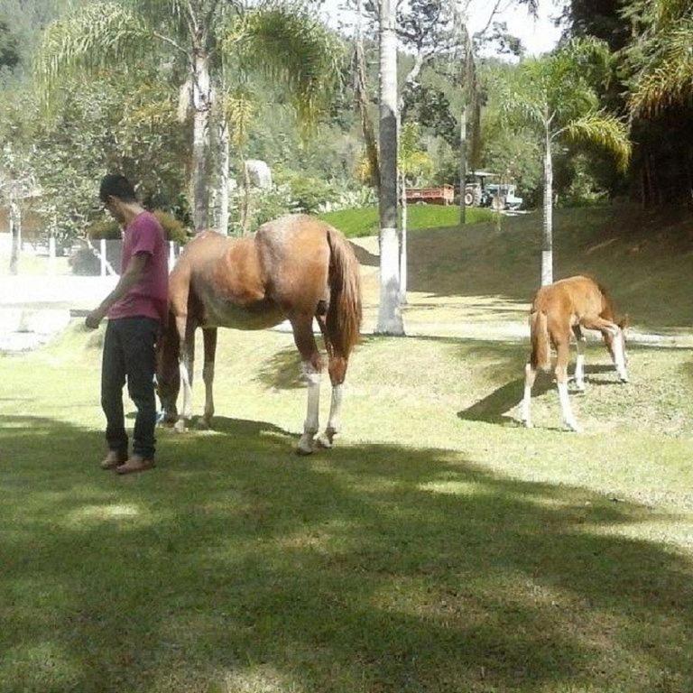  Fazenda Carpas Douradas