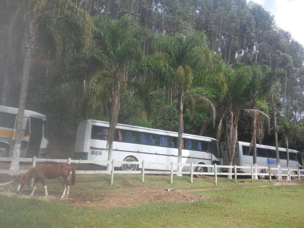  Fazenda Carpas Douradas