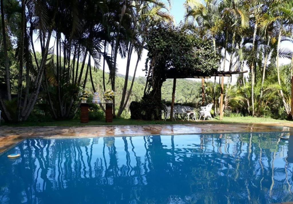a blue swimming pool with palm trees in the background at Fazenda Carpas Douradas in São Roque