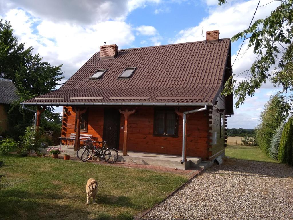 um cão parado em frente a uma pequena casa em Ostoja nad Bugiem em Janów Podlaski