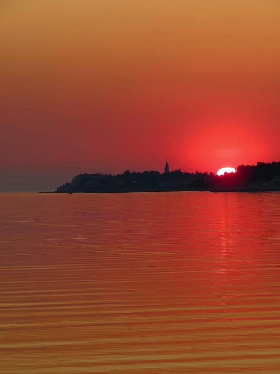 Apartments Roberta - 7